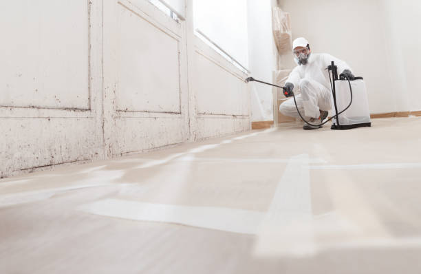 24/7 Emergency Mold Testing experts in Moon, VA